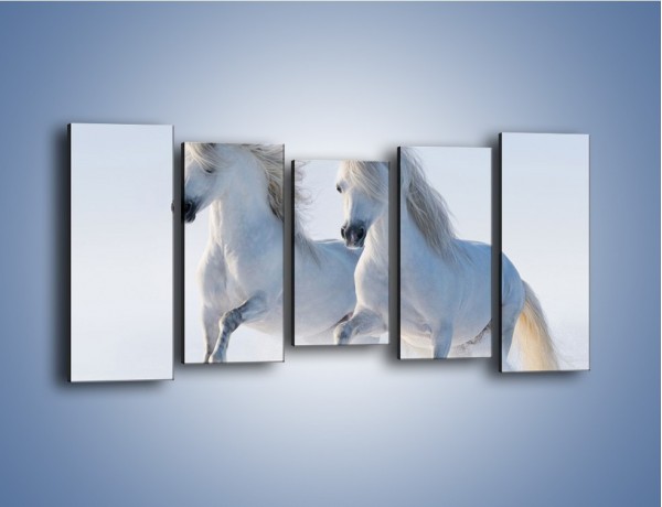Obraz na płótnie – Gonitwa konna w bieli – pięcioczęściowy Z240W2