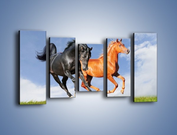 Obraz na płótnie – Czarny rudy i koń – pięcioczęściowy Z241W2