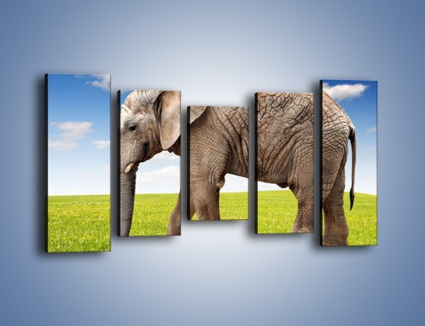 Obraz na płótnie – Odbicie słonia w wodnym lustrze – pięcioczęściowy Z245W2