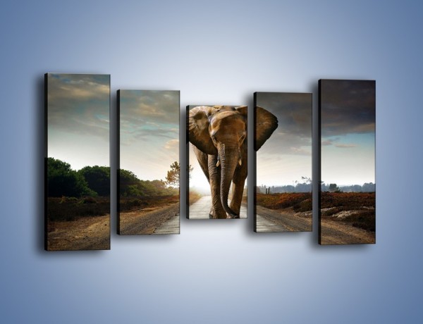 Obraz na płótnie – Słoń w poszukiwaniu rodziny – pięcioczęściowy Z256W2