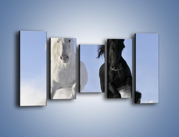 Obraz na płótnie – Czarno-biały wyścig konny – pięcioczęściowy Z263W2