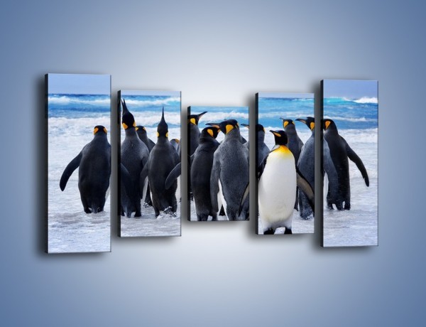 Obraz na płótnie – Narada pingwiniej rodziny – pięcioczęściowy Z272W2