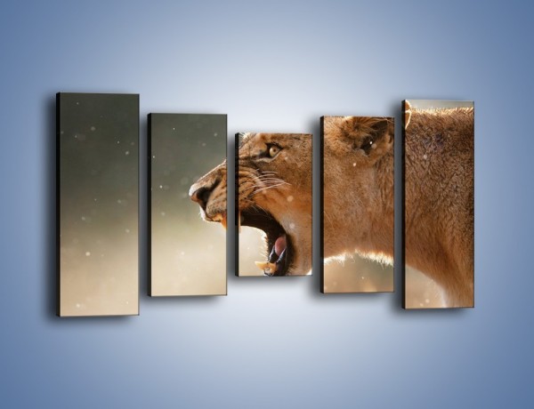 Obraz na płótnie – Ostrzeżenie lwiej samicy – pięcioczęściowy Z299W2