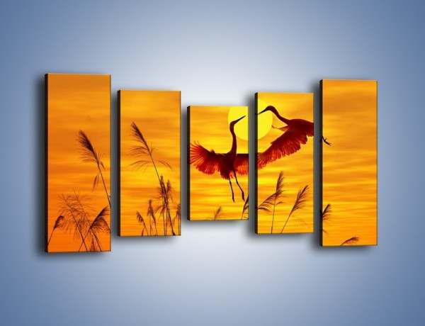 Obraz na płótnie – Czaple i zachód słońca – pięcioczęściowy Z302W2