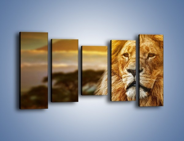 Obraz na płótnie – Dojrzały wiek lwa – pięcioczęściowy Z303W2