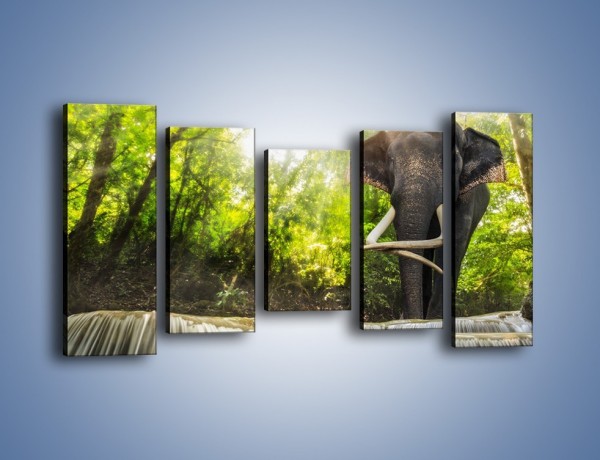 Obraz na płótnie – Słoń i mały wodospad – pięcioczęściowy Z305W2