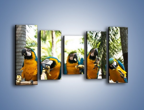 Obraz na płótnie – Piknik z papugami – pięcioczęściowy Z322W2
