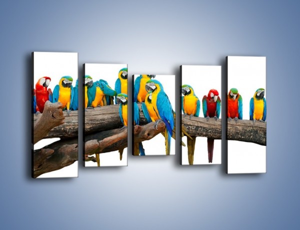Obraz na płótnie – Kolorowe stado papug – pięcioczęściowy Z326W2