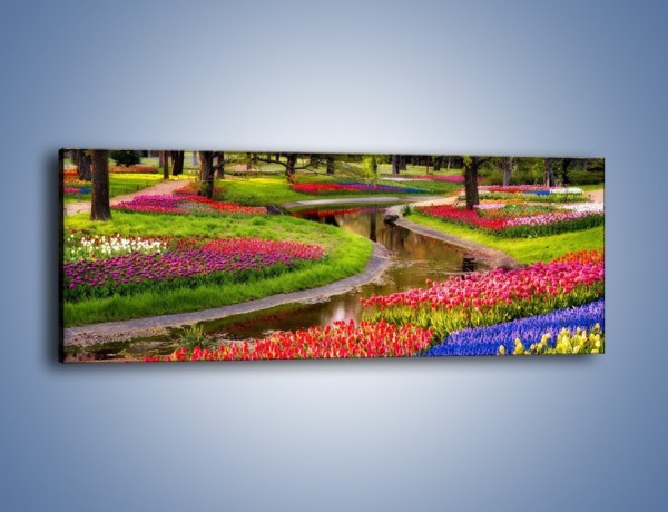 Obraz na płótnie – Aleje kolorowych tulipanów – jednoczęściowy panoramiczny KN1079