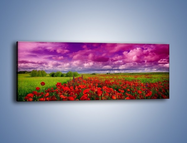 Obraz na płótnie – Maki nad fioletowymi chmurami – jednoczęściowy panoramiczny KN1079A