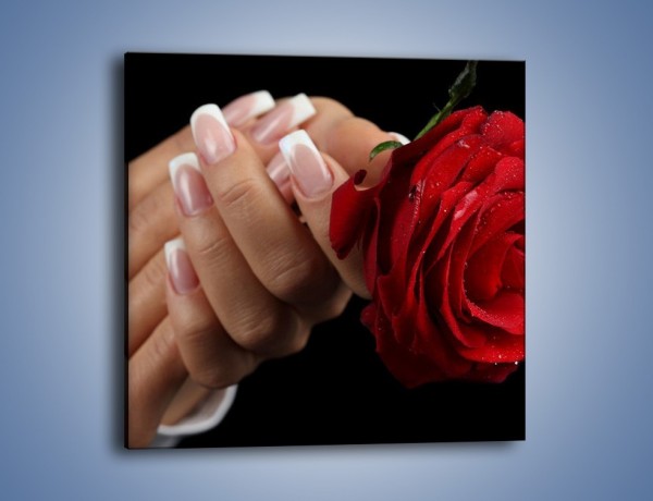 Obraz na płótnie – Kwiat róży w kobiecych dłoniach – jednoczęściowy kwadratowy K006