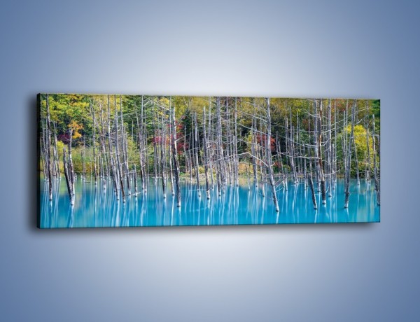 Obraz na płótnie – Drzewka w wodnej kąpieli – jednoczęściowy panoramiczny KN1083A