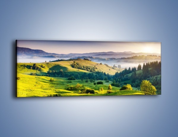 Obraz na płótnie – Tylko zieleń i góry – jednoczęściowy panoramiczny KN1084