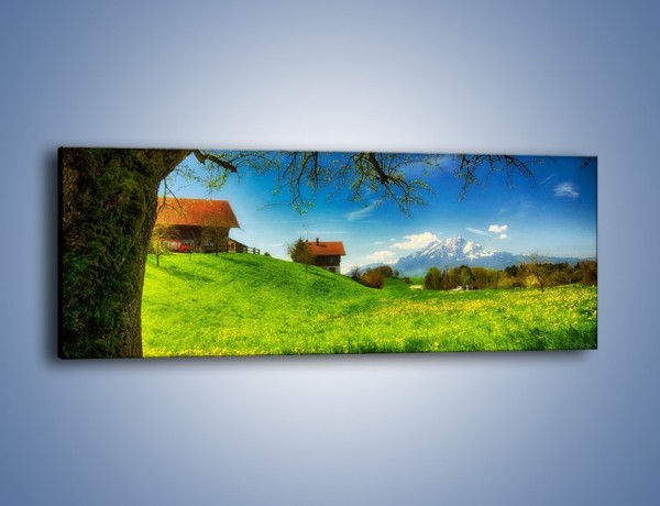 Obraz na płótnie – Chatki na polanie – jednoczęściowy panoramiczny KN1085A