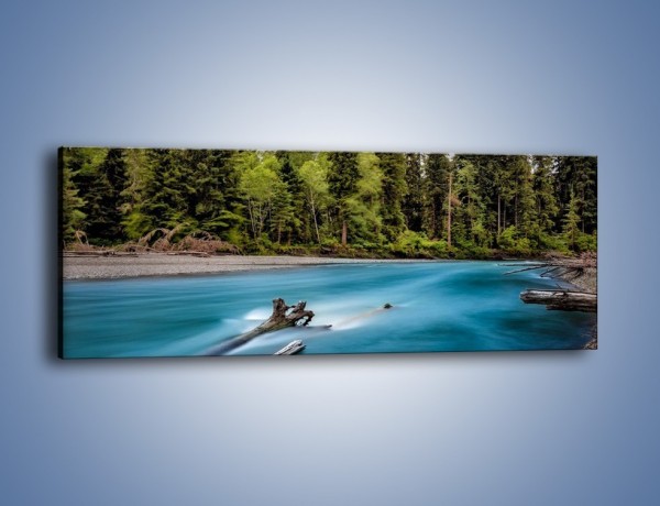 Obraz na płótnie – Uniesione przez wodę – jednoczęściowy panoramiczny KN1087A