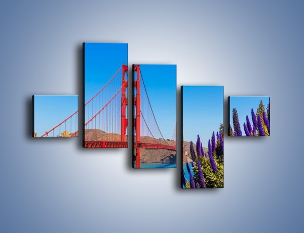 Obraz na płótnie – Golden Gate pod błękitnym niebem – pięcioczęściowy AM644W3