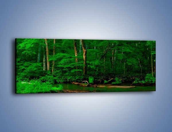 Obraz na płótnie – Mocno zarośnięty las – jednoczęściowy panoramiczny KN1089A