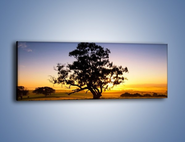 Obraz na płótnie – Drzewa w oddali – jednoczęściowy panoramiczny KN1095