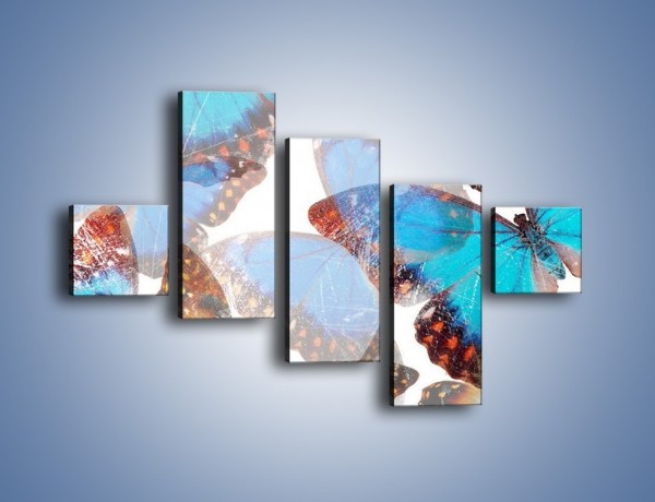 Obraz na płótnie – Motyl w niebieskim kolorze – pięcioczęściowy GR403W3