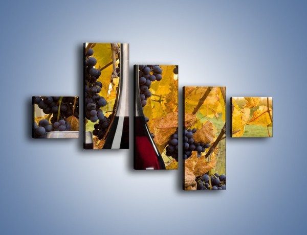 Obraz na płótnie – Wino wśród winogron – pięcioczęściowy JN007W3
