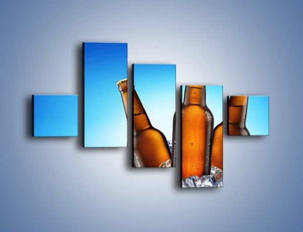 Obraz na płótnie – Szron na butelkach piwa – pięcioczęściowy JN075W3