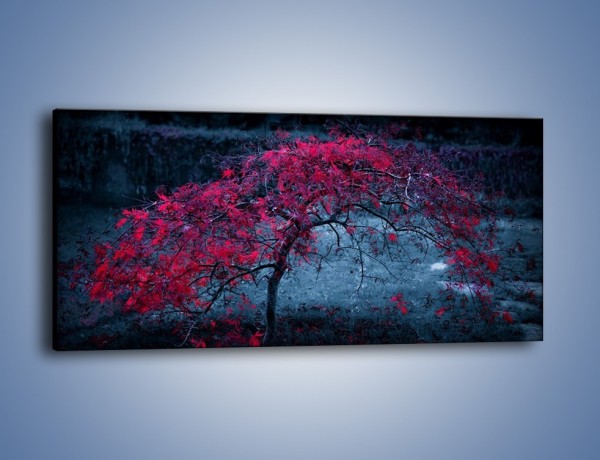 Obraz na płótnie – Czerwone płaczące drzewo – jednoczęściowy panoramiczny KN1101A