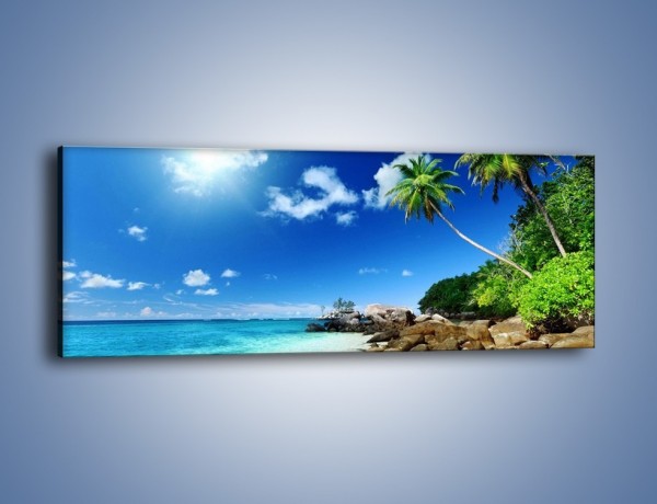Obraz na płótnie – Palmą aż do obłoczka – jednoczęściowy panoramiczny KN1107A
