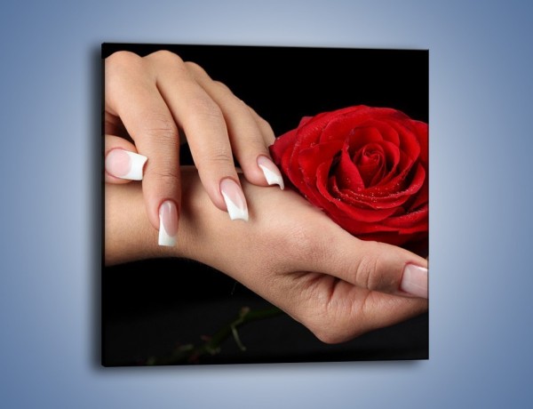 Obraz na płótnie – Czerwona róża w dłoni – jednoczęściowy kwadratowy K037