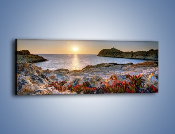 Obraz na płótnie – Kwiaty między różowymi skałami – jednoczęściowy panoramiczny KN1109