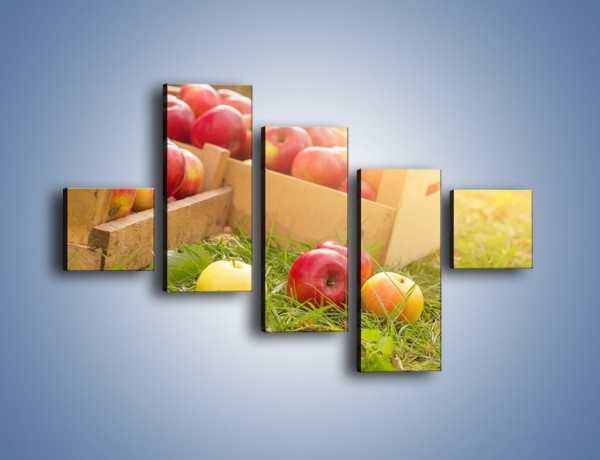 Obraz na płótnie – Jabłka skąpane w trawie – pięcioczęściowy JN628W3