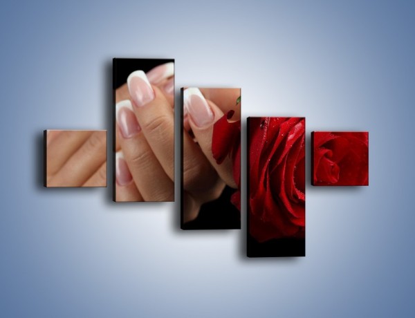 Obraz na płótnie – Kwiat róży w kobiecych dłoniach – pięcioczęściowy K006W3