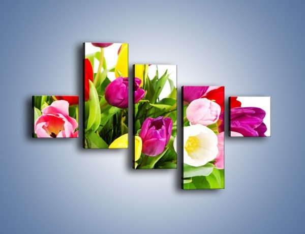 Obraz na płótnie – Kolorowe tulipany w pęku – pięcioczęściowy K023W3