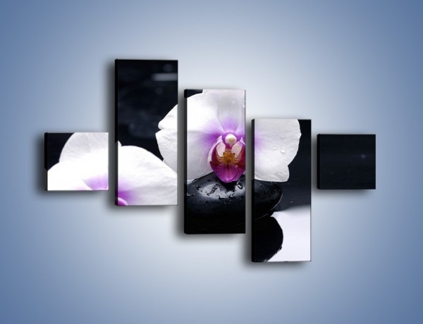 Obraz na płótnie – Główki białych storczyków – pięcioczęściowy K024W3