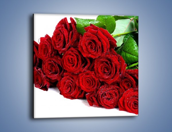 Obraz na płótnie – Oszronione czerwone róże – jednoczęściowy kwadratowy K047