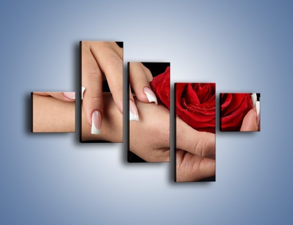 Obraz na płótnie – Czerwona róża w dłoni – pięcioczęściowy K037W3
