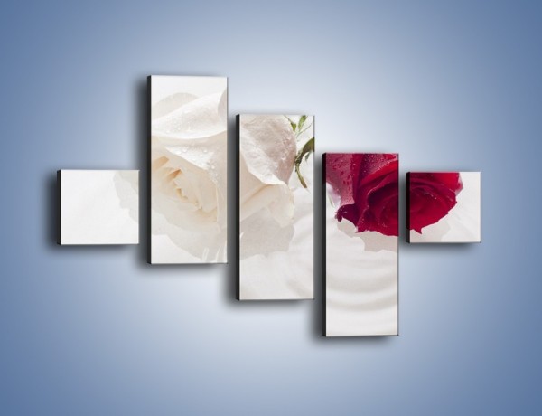 Obraz na płótnie – Róża biała czy czerwona – pięcioczęściowy K077W3