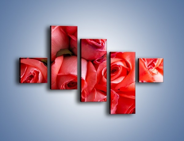 Obraz na płótnie – Tylko widoczne róże – pięcioczęściowy K1004W3