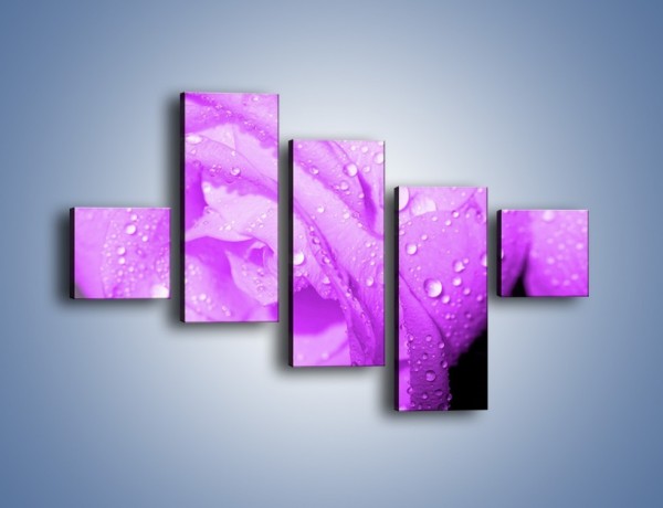 Obraz na płótnie – Jasno fioletowe skropione płatki – pięcioczęściowy K1020W3