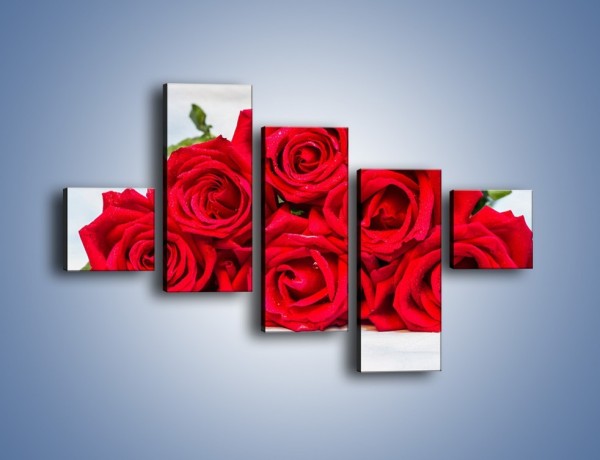Obraz na płótnie – Czerwone róże bez kolców – pięcioczęściowy K1021W3