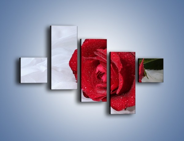 Obraz na płótnie – Bordowa róża na białej pościeli – pięcioczęściowy K1023W3