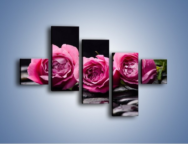 Obraz na płótnie – Malutkie różane trio – pięcioczęściowy K1027W3