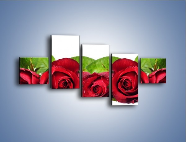Obraz na płótnie – Pięknie ułożone róże – pięcioczęściowy K108W3