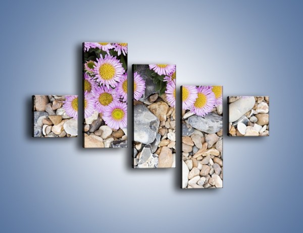 Obraz na płótnie – Kolorowe kamienie czy małe kwiatuszki – pięcioczęściowy K146W3
