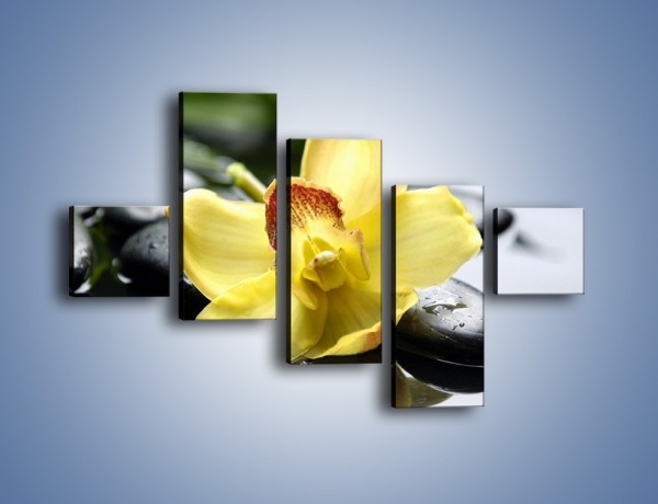 Obraz na płótnie – Żółty kwiat na mokrych kamieniach – pięcioczęściowy K155W3