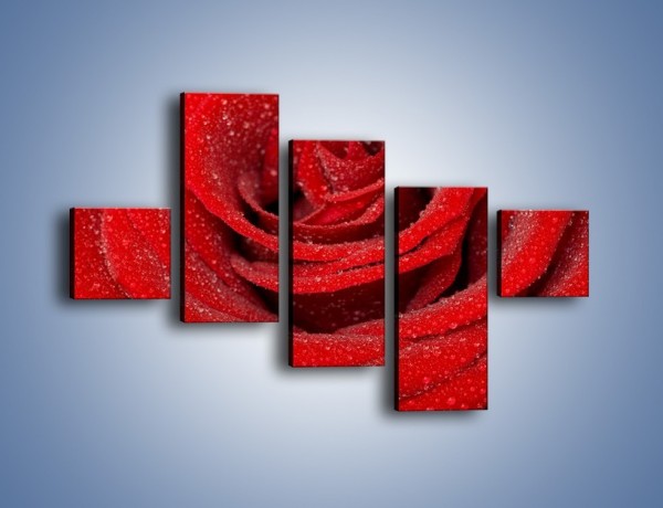 Obraz na płótnie – Czerwona moc w róży – pięcioczęściowy K171W3