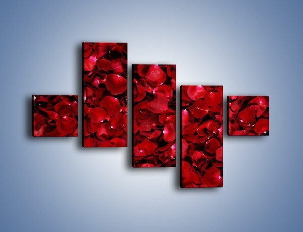 Obraz na płótnie – Dywan usłany płatkami róż – pięcioczęściowy K175W3