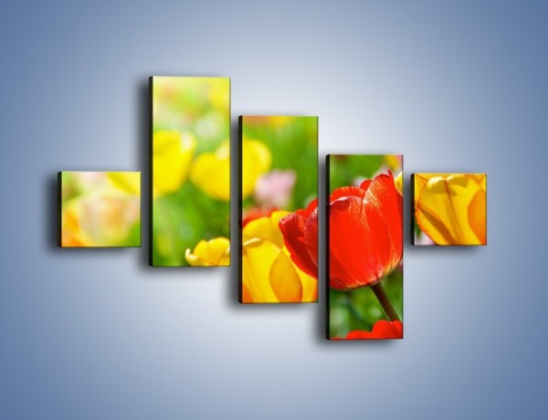 Obraz na płótnie – Wiosenne piękno w tulipanach – pięcioczęściowy K213W3