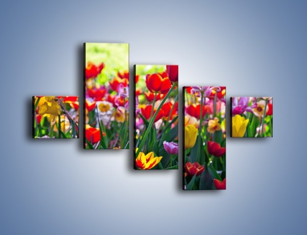 Obraz na płótnie – Odpoczynek wśród tulipanów – pięcioczęściowy K218W3