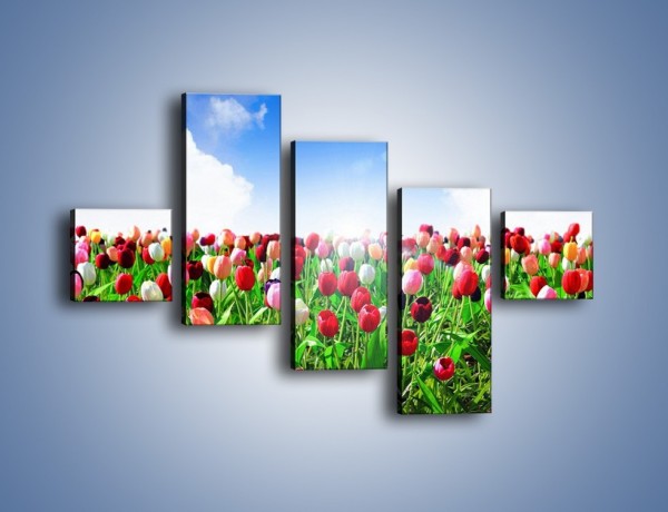 Obraz na płótnie – Droga do nieba z tulipanami – pięcioczęściowy K219W3