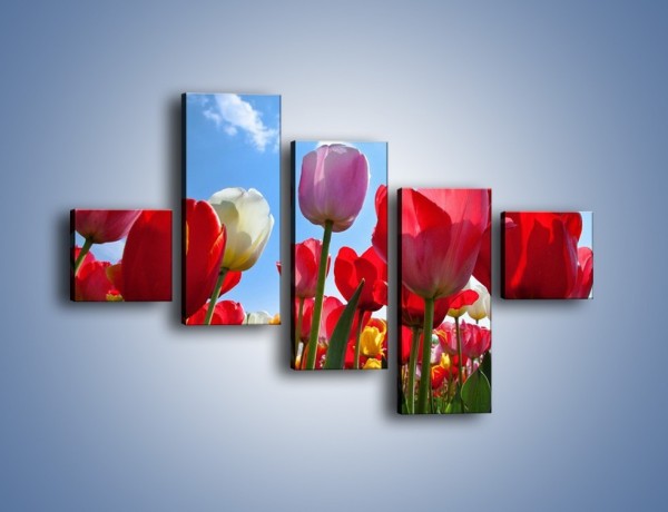 Obraz na płótnie – Kolorowy zawrót głowy z tulipanami – pięcioczęściowy K221W3